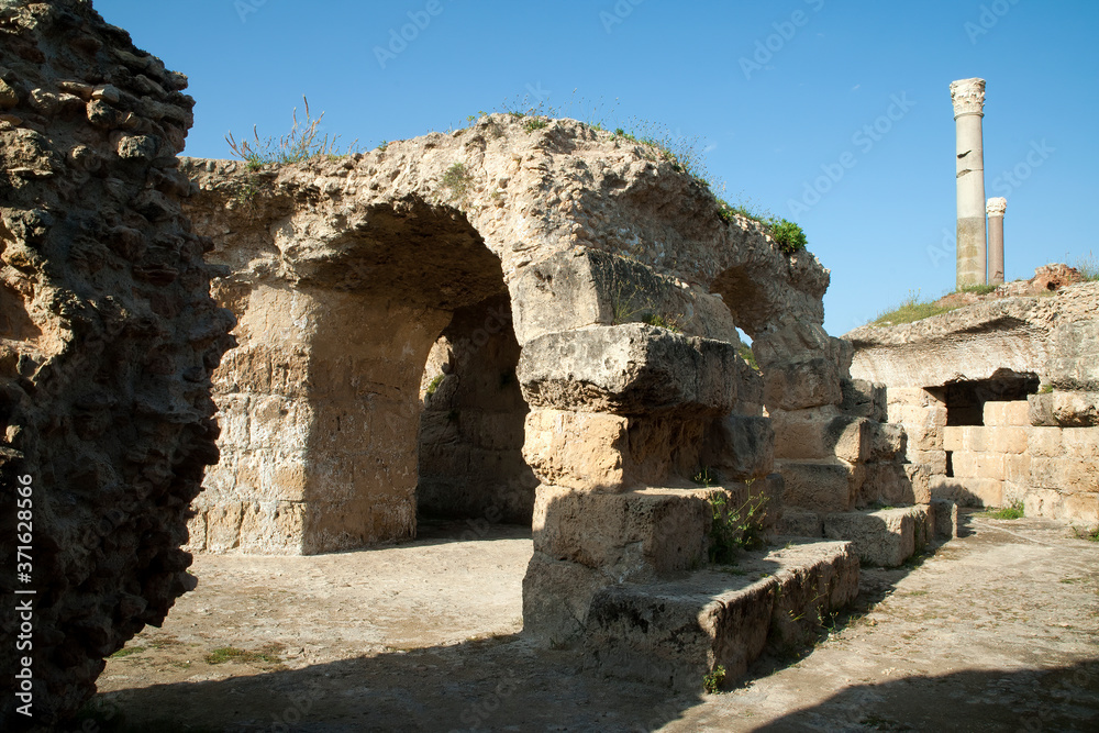 custom made wallpaper toronto digitalCarthage Tunisia, ruins at the roman baths of antoninus
