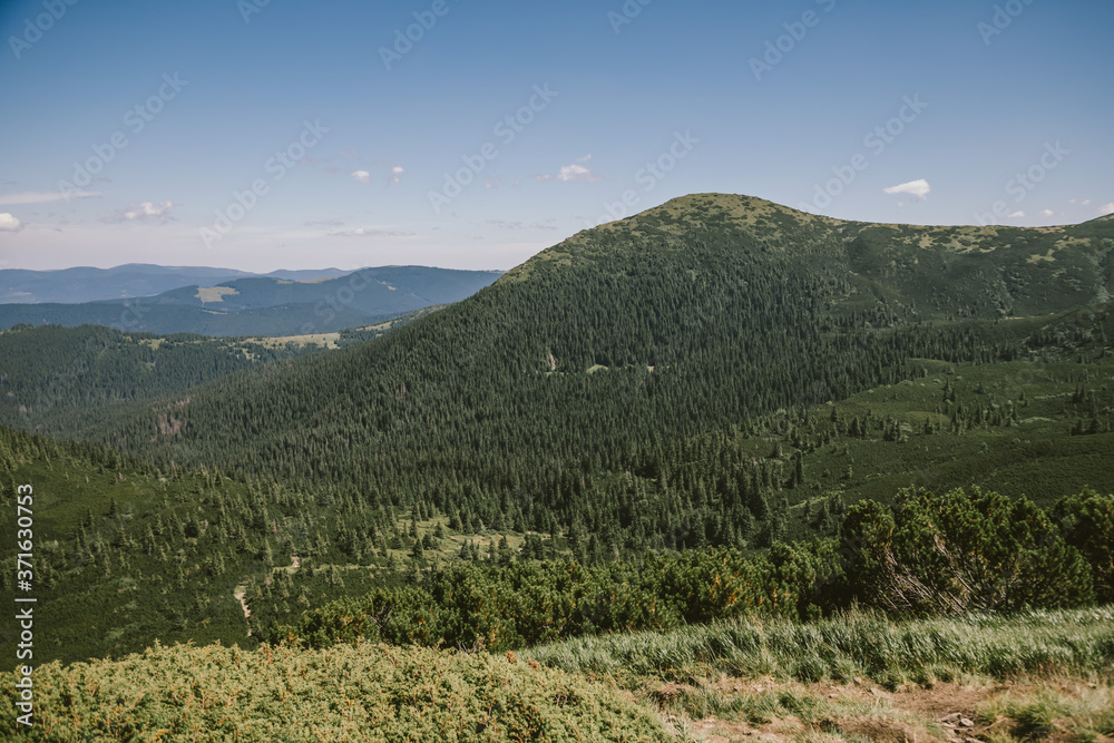 Fototapeta premium A sign with a mountain in the background