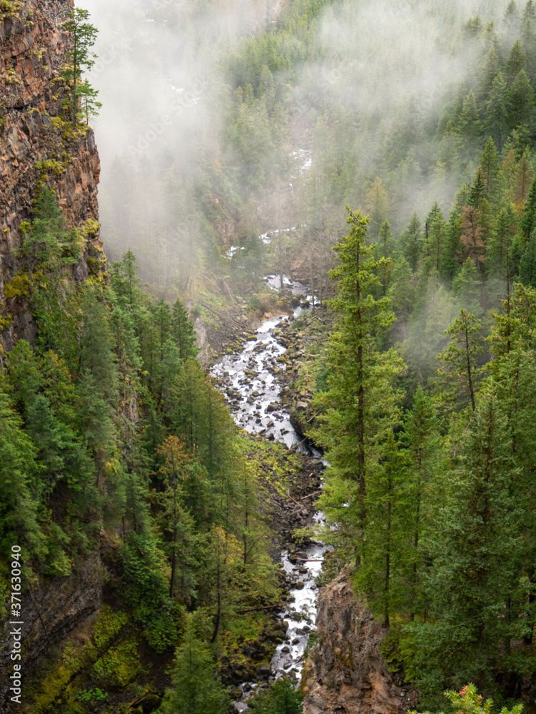 Mystic foggy valley of the clearwater river in the Wells Gray Provincial Park in British Columbia, Canada
