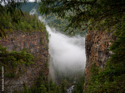 Mystic foggy valley of the clearwater river in the Wells Gray Provincial Park in British Columbia, Canada