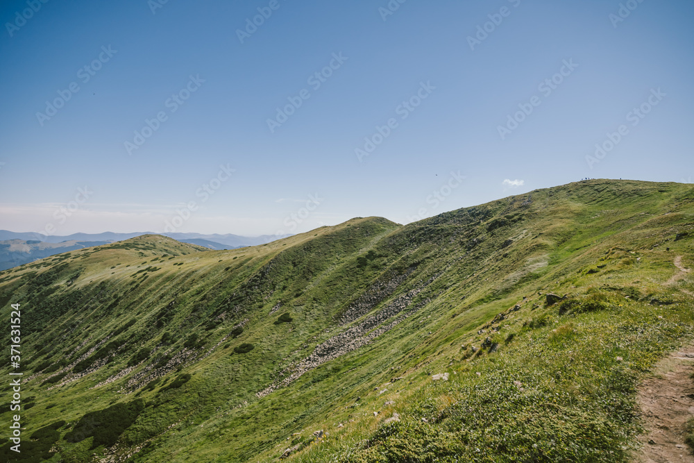 Naklejka premium A close up of a lush green hillside