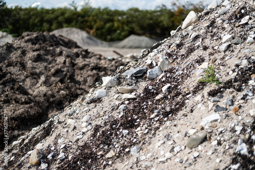 Nicely textured hill covered with rocks and other natural elements.