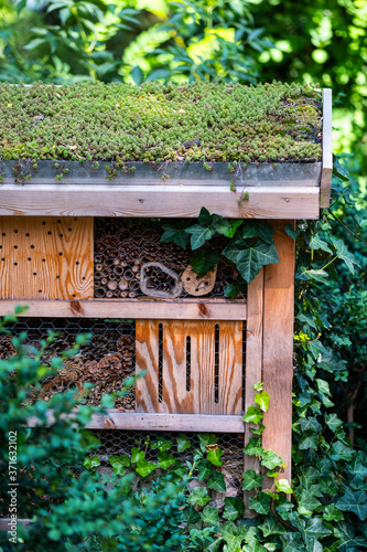 Man made insect hotel for an eco friendly urban environment.