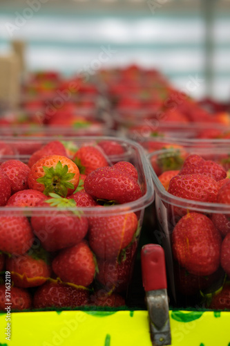 Strawberries for sale at the local market.