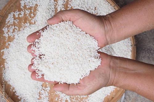 Grain rice in the hands, food for life concept.