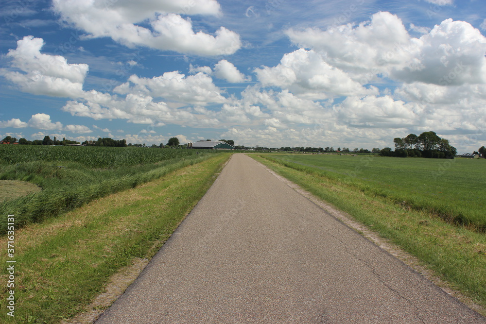 A small country road through the green Dutch meadows in the summer with a blue sky and beautiful clouds.