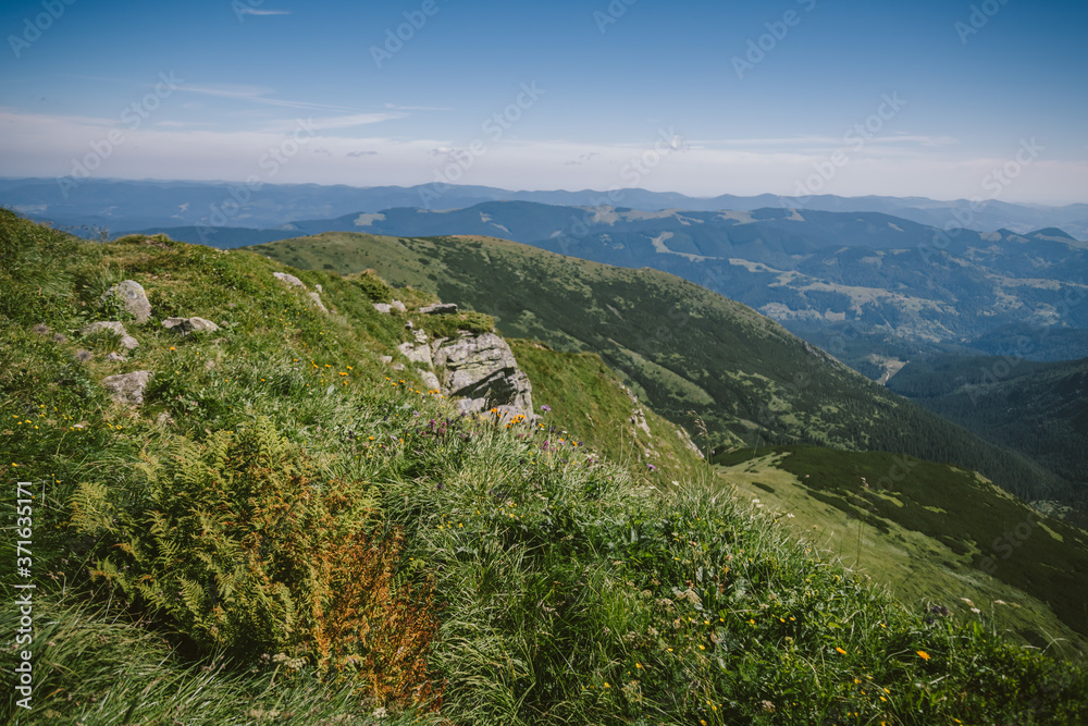 Obraz premium A close up of a hillside view with a mountain in the background