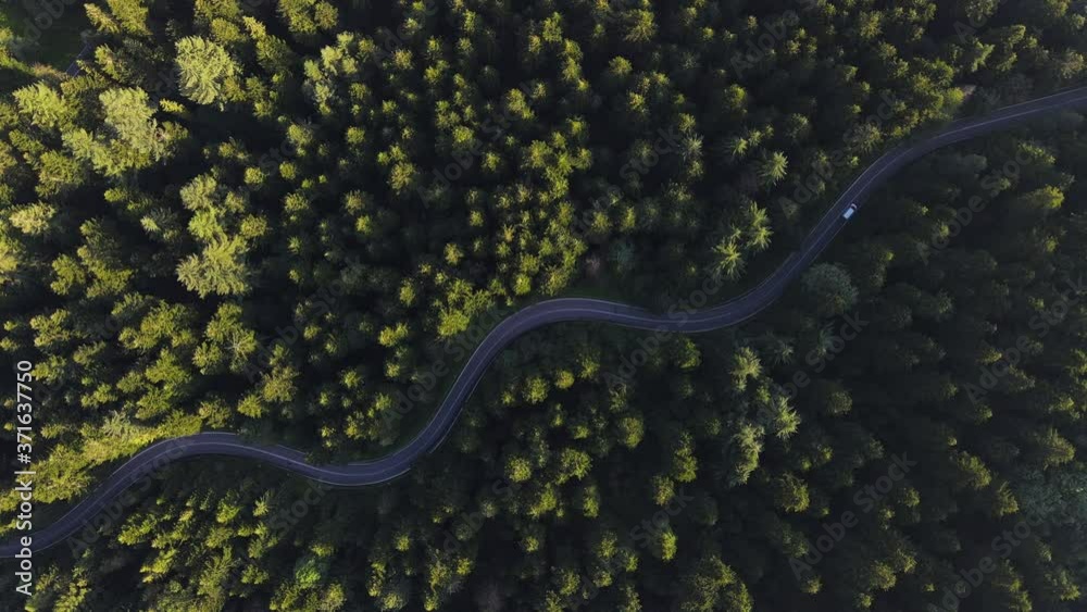 Winding Curvy Road Trough Forest in Mountains. Serpentine Road Ideal For Road Trip. Aerial Drone View. Green Pine Woodlands and Great Outdoors. Winding Curvy Road Trough Forest in Mountains. Serpentine Road Ideal For Road Trip. Aerial Drone View. Green Pine Woodlands and Great Outdoors.