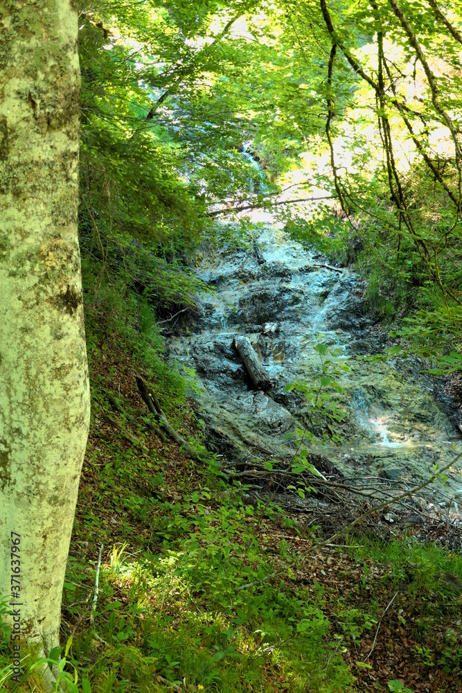 rapid in the woods, wildbad kreuth, bavaria, rapid in the woods, wildbad kreuth, bavaria,