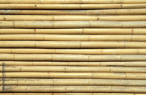 Yellow bamboo fence texture background. template for design