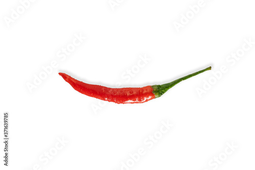 Red chilli pepper, isolated on white background, dewy drops