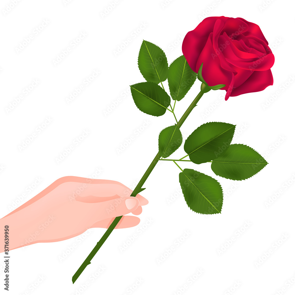 red rose in hand gift to your favorite art