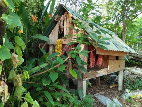 A Joss house in a village with green trees in Thailand