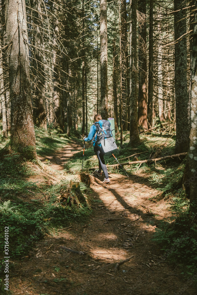 A man standing next to a tree in a forest