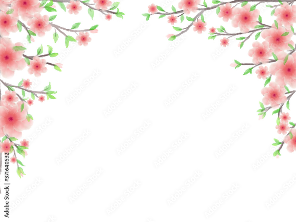 Pink blossom flowers with brown branches and green leaves are on the top border of white background 