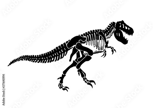 Vector  silhouette of tyrannosaurus skeleton isolated on white background,graphical  illustration
