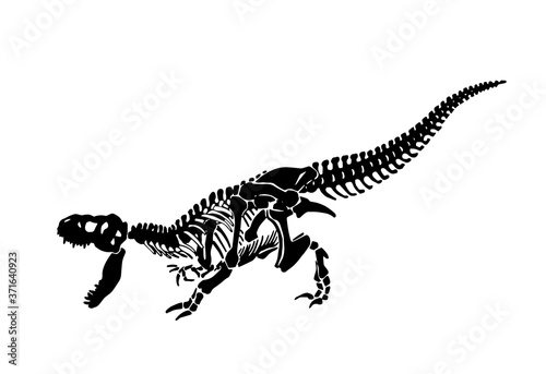 Vector  silhouette of tyrannosaurus skeleton isolated on white background,graphical  illustration