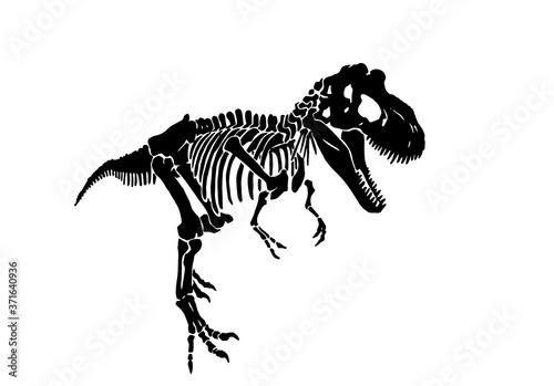 Vector  silhouette of tyrannosaurus skeleton isolated on white background,graphical  illustration