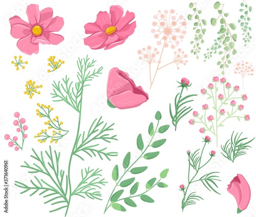 set of summer flowers natural art vector