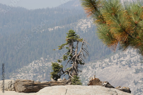 Views of Half Dome from Glacier Point Yosemite National Park photo