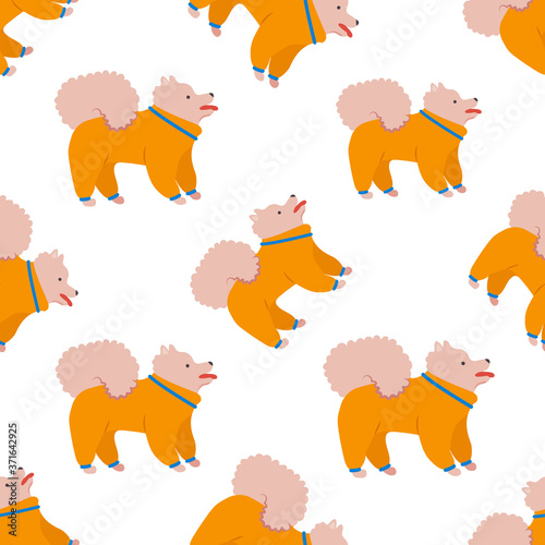Seamless pattern with cartoon style icon of pomeranian spitz for different design. Background with family dog.