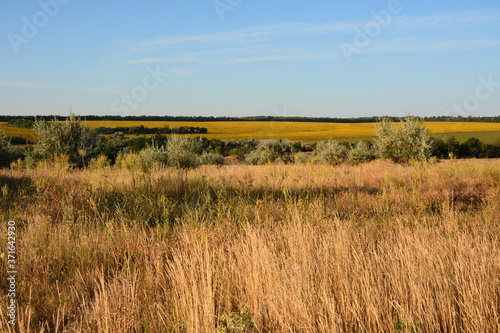 A dry steppe at the end of a hot summer.