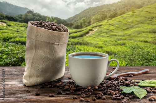 Cup of fresh coffee and roasted beans in a bag on the table against the backdrop of a landscape of coffee plantations