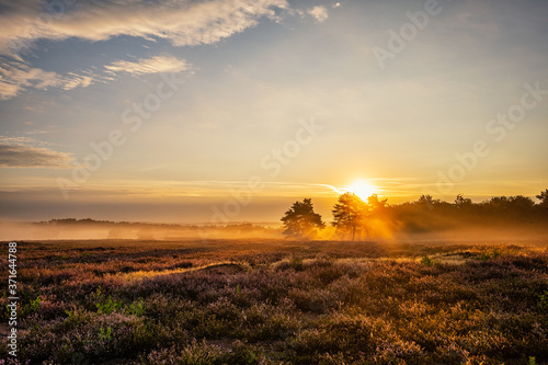 Εκτύπωση καμβά sunrise over the field