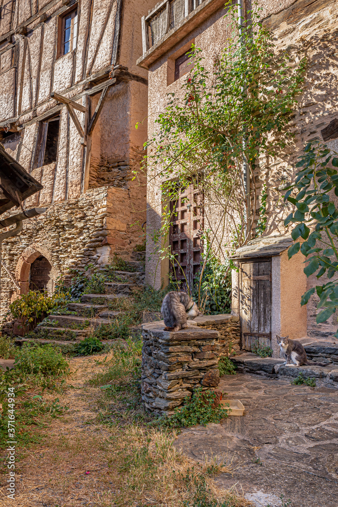 Conques, Aveyron. Petites place médiévale avec deux chatons.