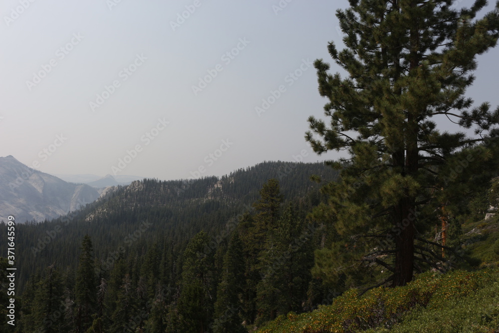 great outdoors of Yosemite National Park