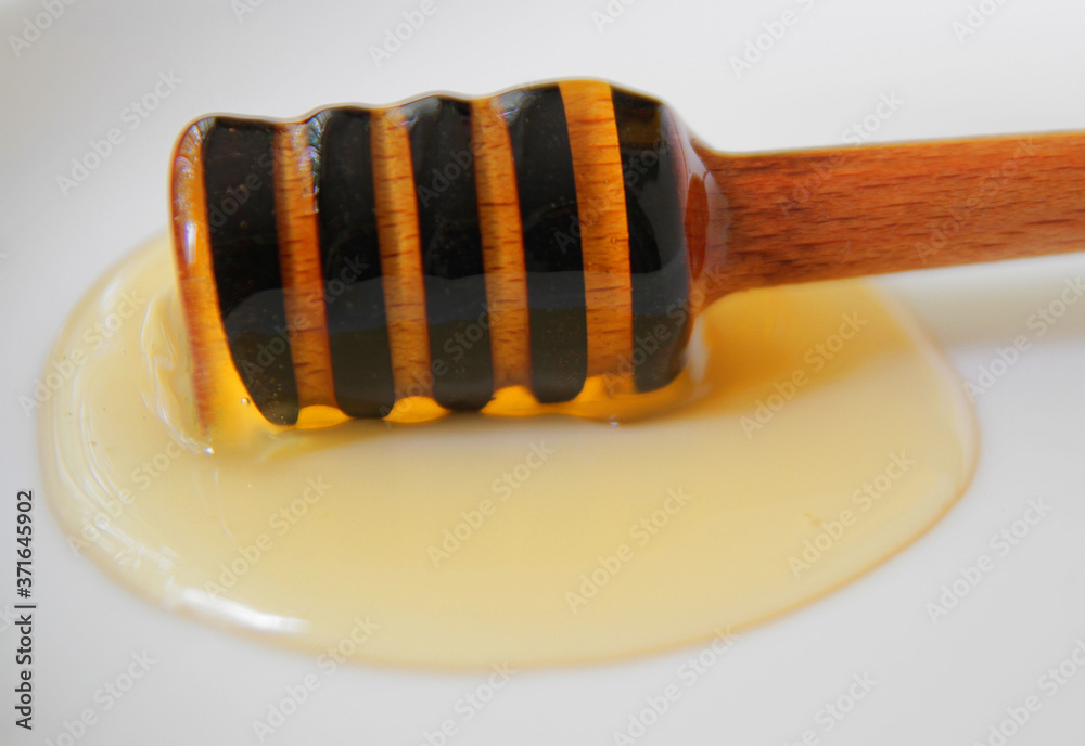 honey dipper with natural liquid honey on a white plate.
honey dipper with natural liquid honey on a white plate.