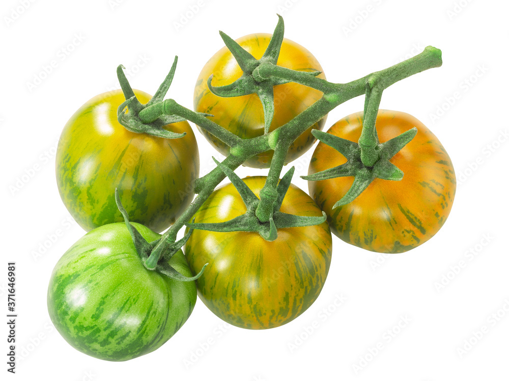 Green Zebra heirloom tomatoes on the vine cluster,  isolated - obrazy, fototapety, plakaty 