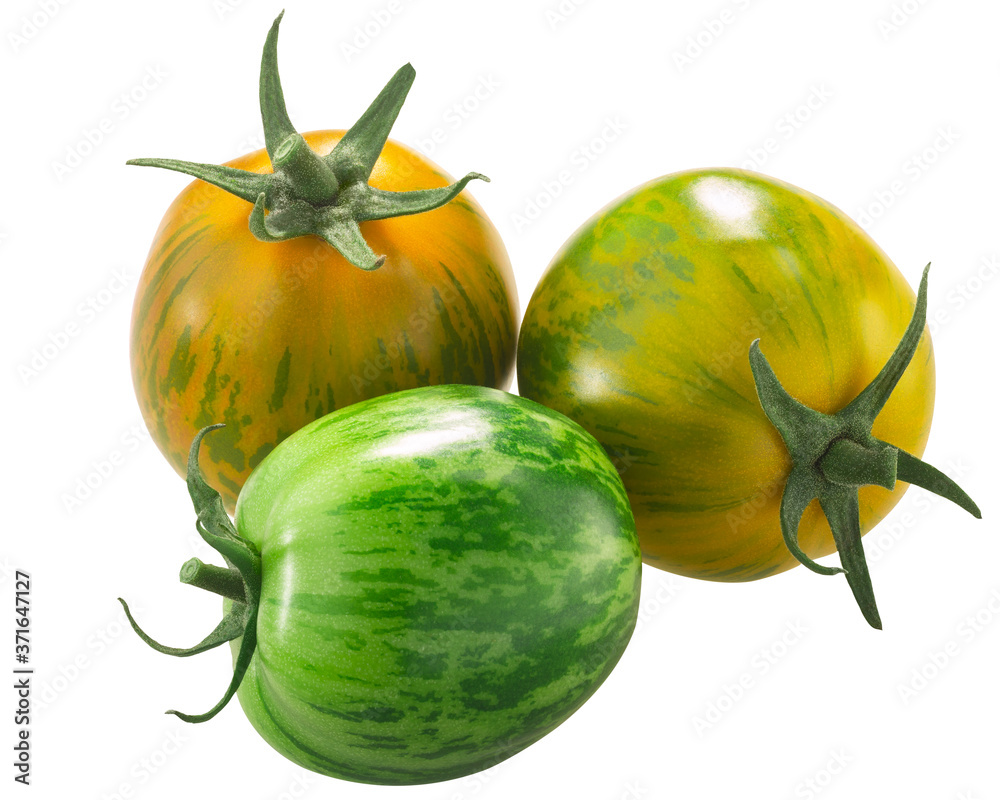 Green Zebra heirloom tomatoes  isolated - obrazy, fototapety, plakaty 