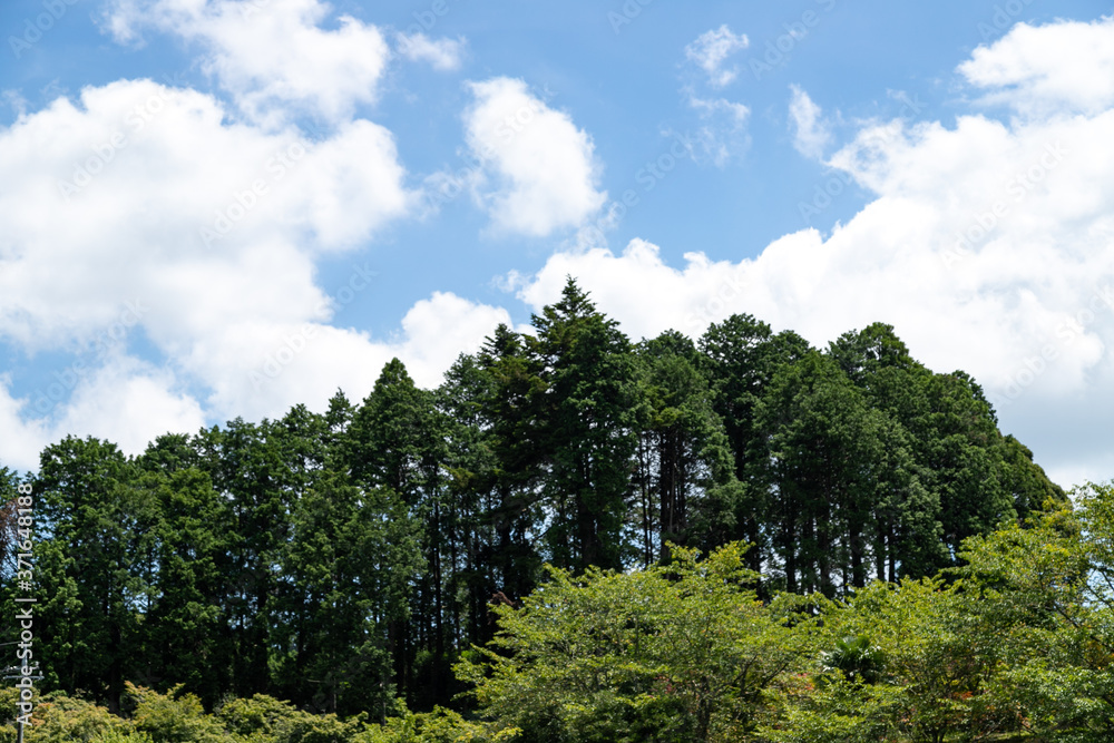 里山の風景と夏の空　千葉県大網白里市　日本