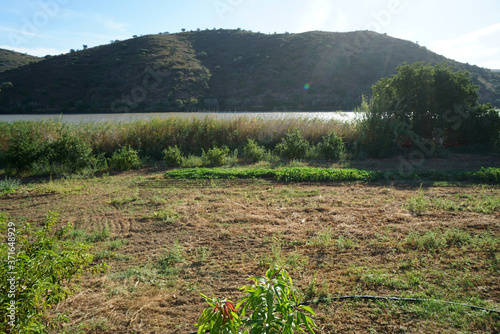 Arid landscape in Portugal's Alantejo photographed in summer photo