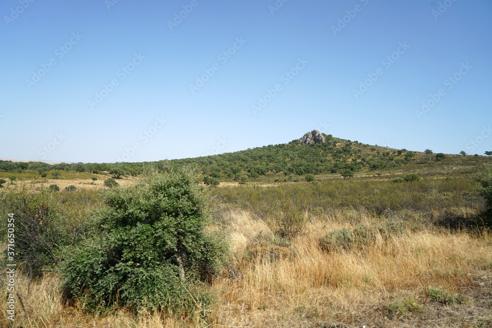 Arid landscape in Portugal's Alantejo photographed in summer