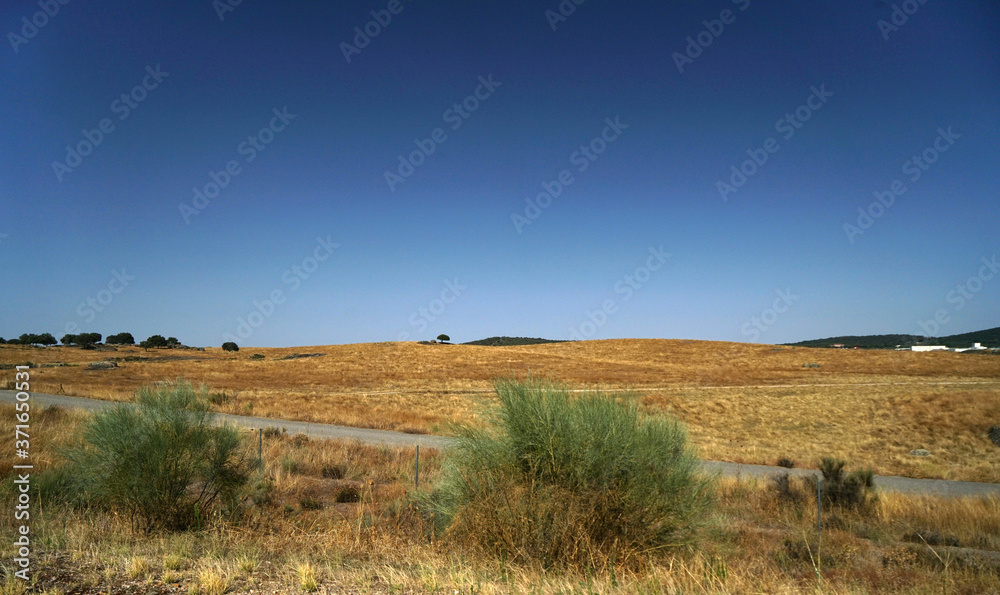 Arid landscape in Portugal's Alantejo photographed in summer