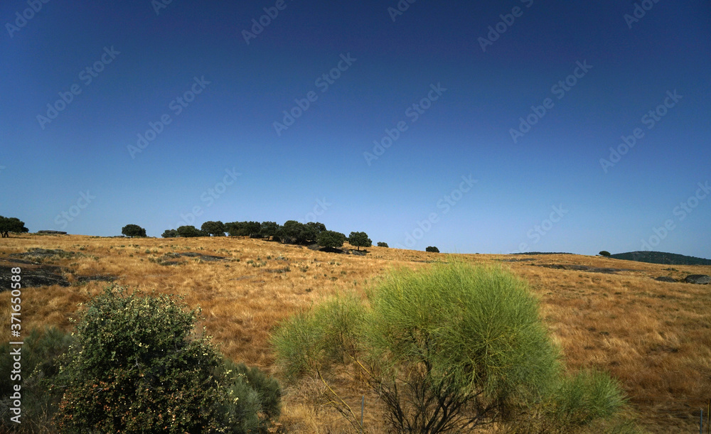 Arid landscape in Portugal's Alantejo photographed in summer Arid landscape in Portugal's Alantejo photographed in summer