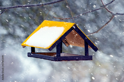 Feeding trough for birds in the garden in winter during a snowfall