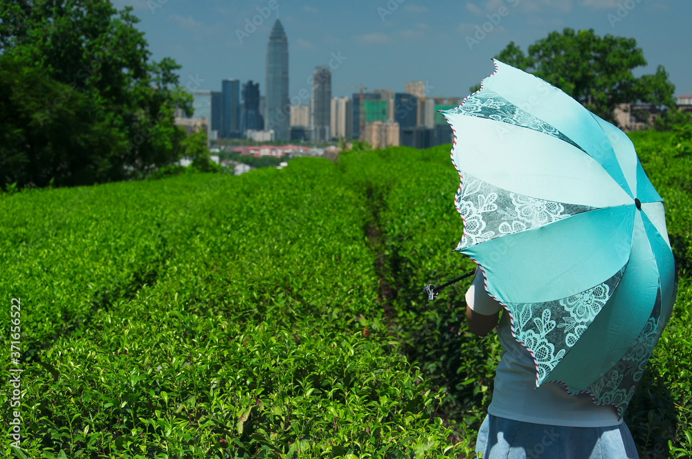 a chinese woman holding an umbrella near a green tea field