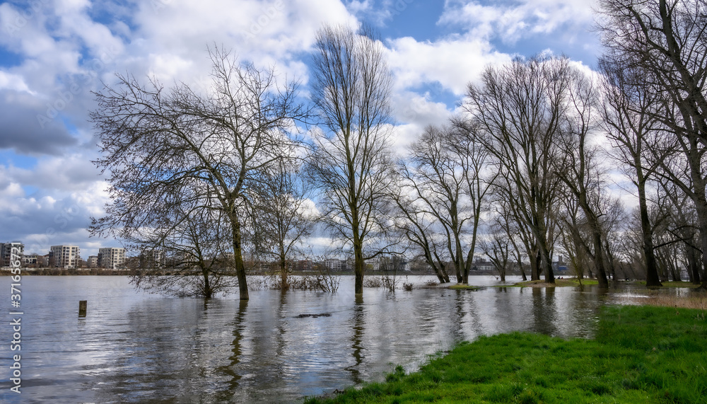 Hochwasser in Köln 