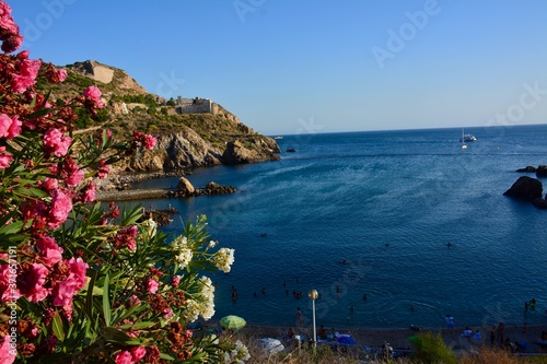 Fototapeta Naklejka Na Ścianę i Meble -  view of the coast of the mediterranean sea