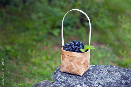 Photos Wicker basket of tasty dewberries or blackberries standing on the stone at the forest or at the park