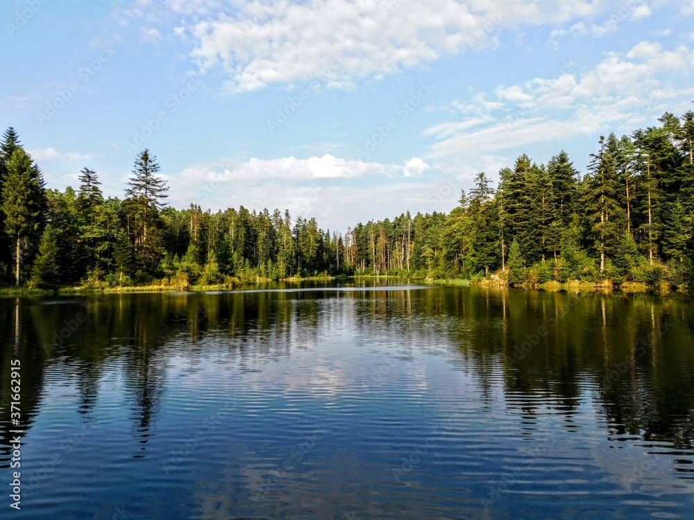 lake in the forest lake in the forest