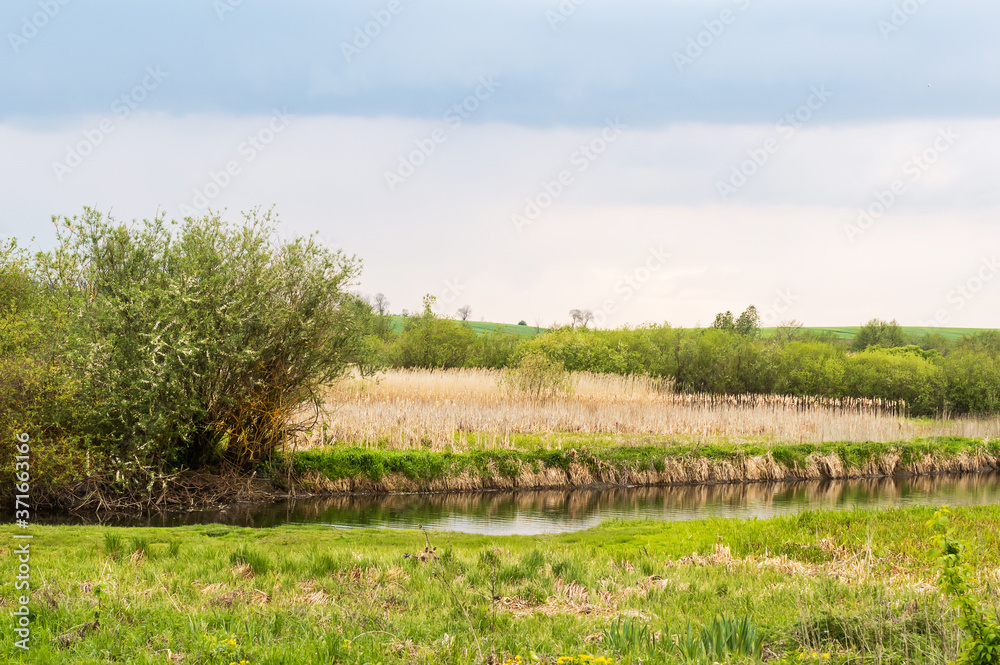 Wild river on the meadow.
