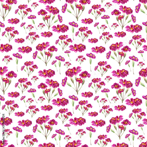 Botany flowers red watercolor seamless pattern on white background. For printing on fabric and paper