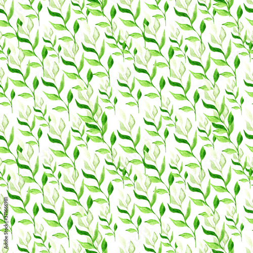 Botany leaves watercolor green seamless pattern on white background. For printing on paper and fabric