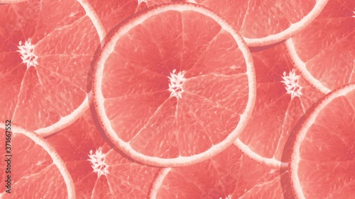 Bright colourful background of rotating red orange fruit grapefruit slices. Motion design.