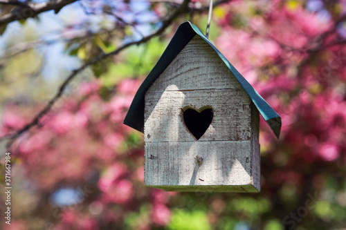 Birdhouse with heart shaped opening hanging in an apple tree in spring