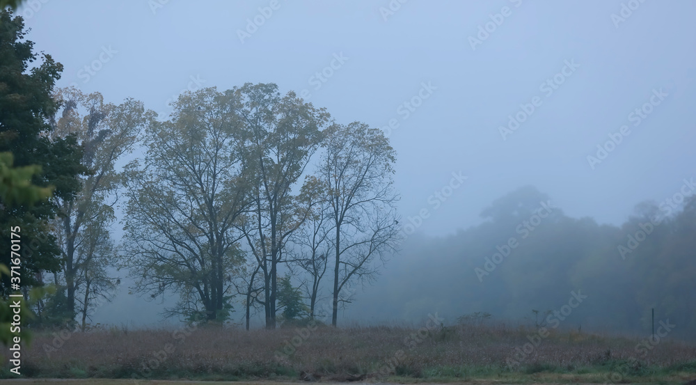 Scenic landscape caught in morning fog during early autumn
Scenic landscape caught in morning fog during early autumn
